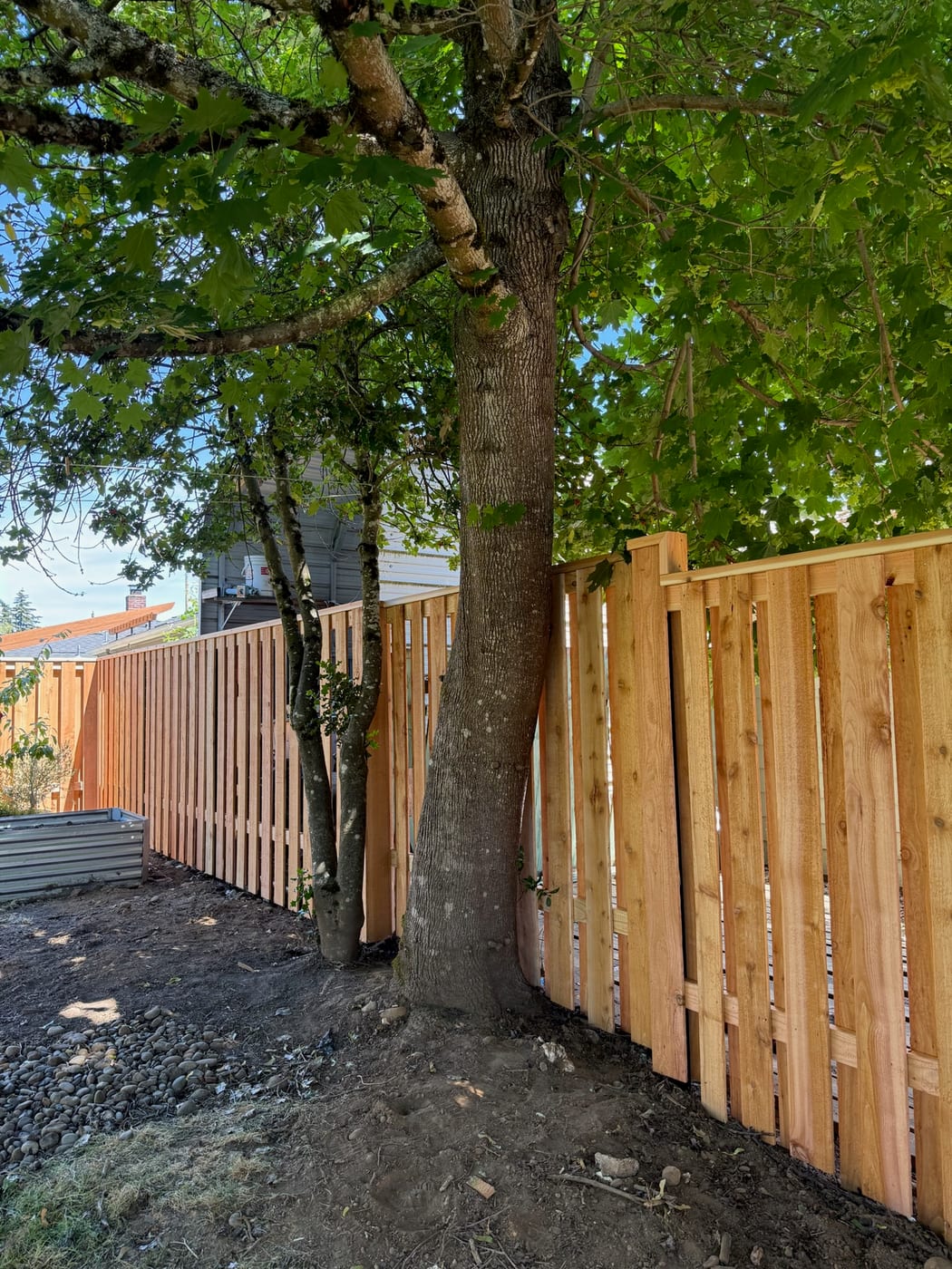 Board on board cedar fence installed by Gorilla Works in the Portland, OR area, a second layer of boards covering the gaps in the layer behind