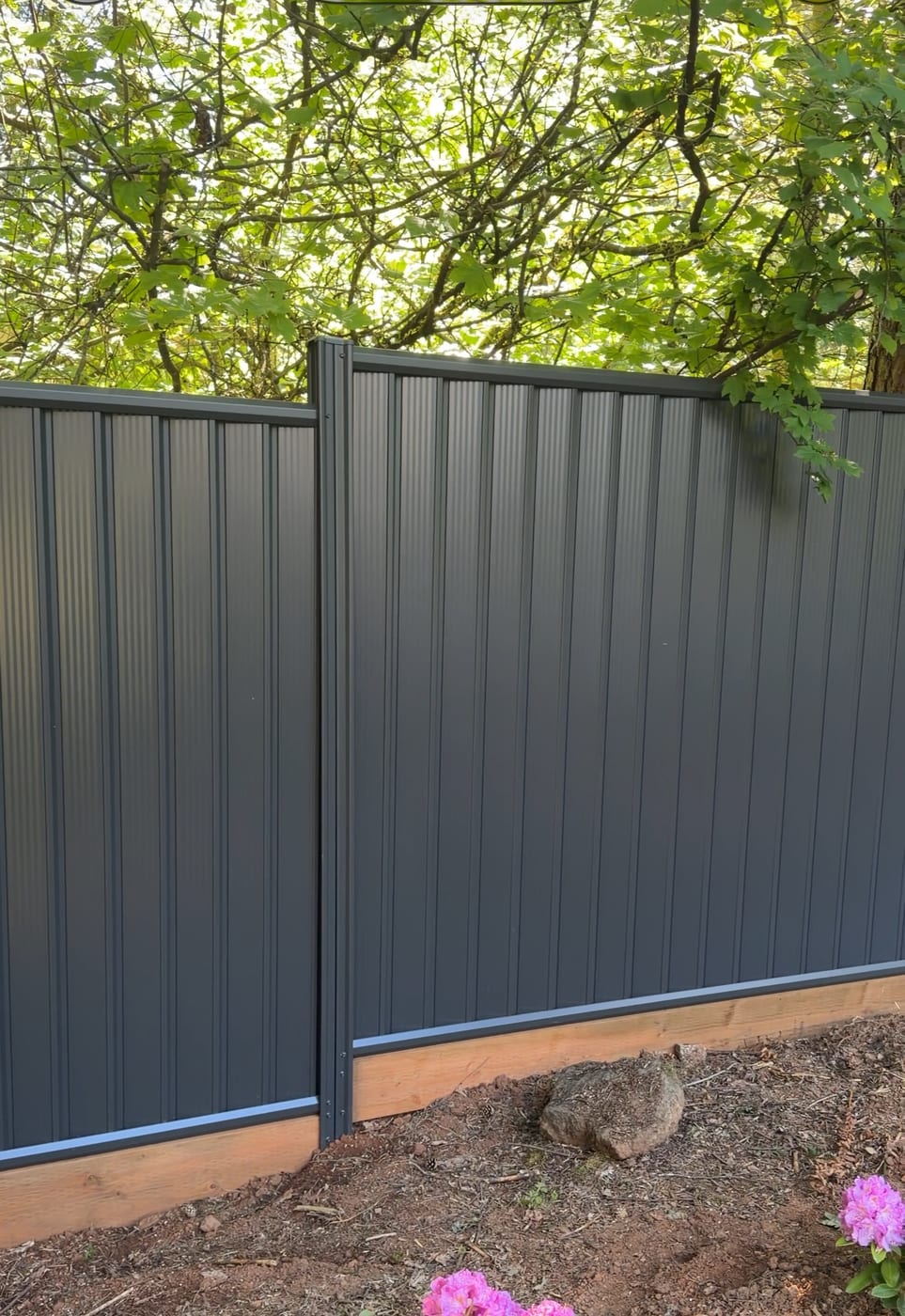 Close view of charcoal Colorbond steel fence panels in Vancouver, WA, showing the corrugated profile, the post channel and the cedar kickboard beneath