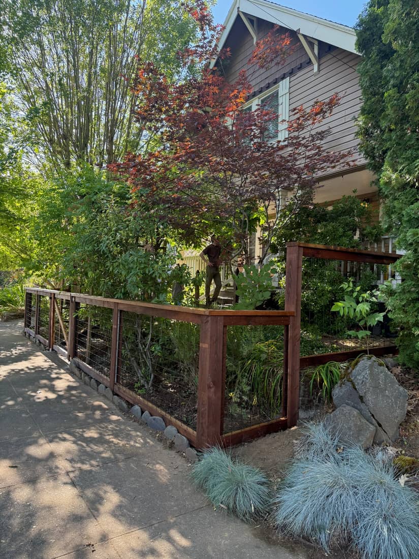 Cedar framed hog wire fence along a planted front yard of a craftsman home in Portland, OR