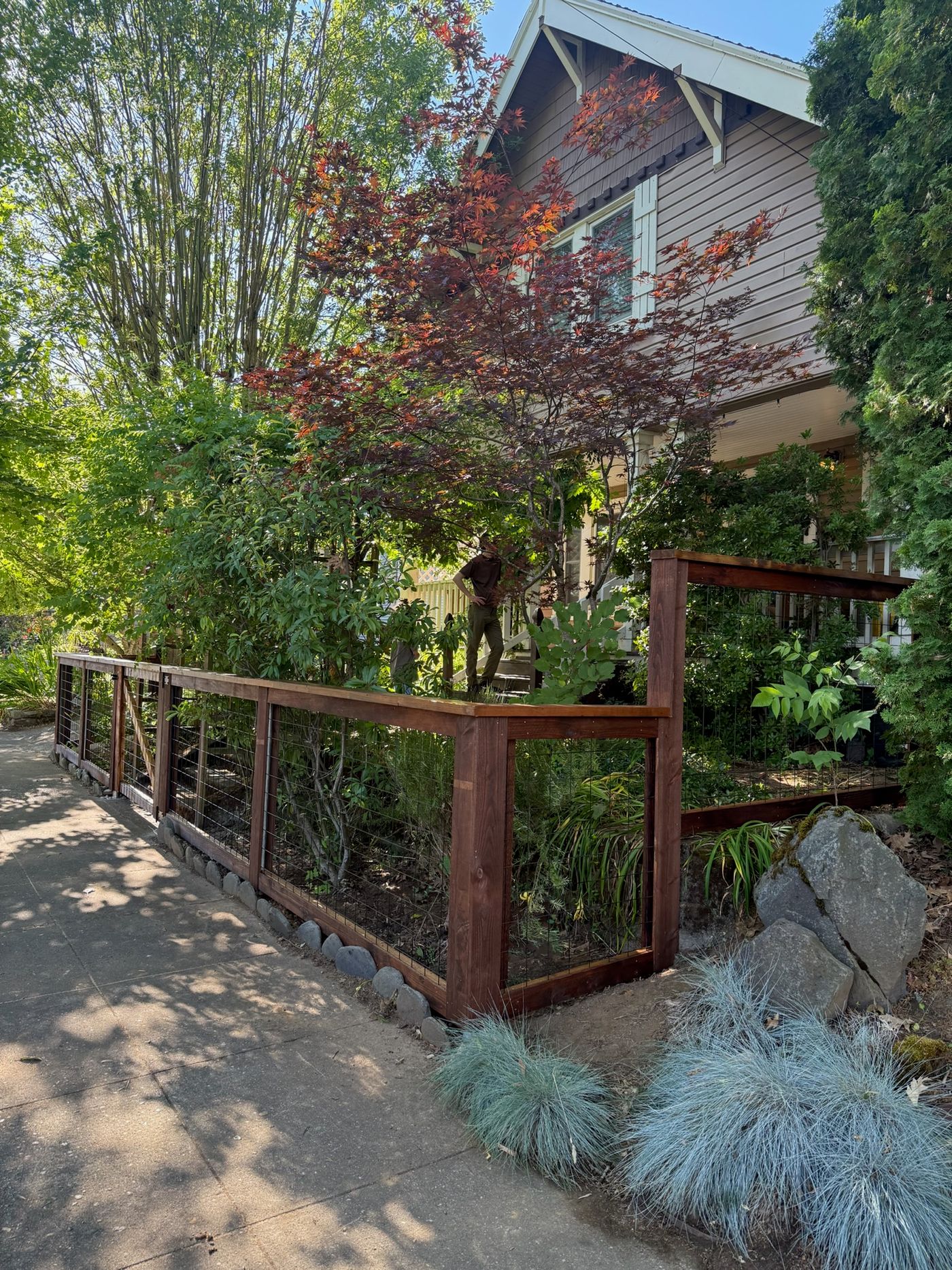Hog wire fence with a cedar frame installed by Gorilla Works in the Portland, OR area