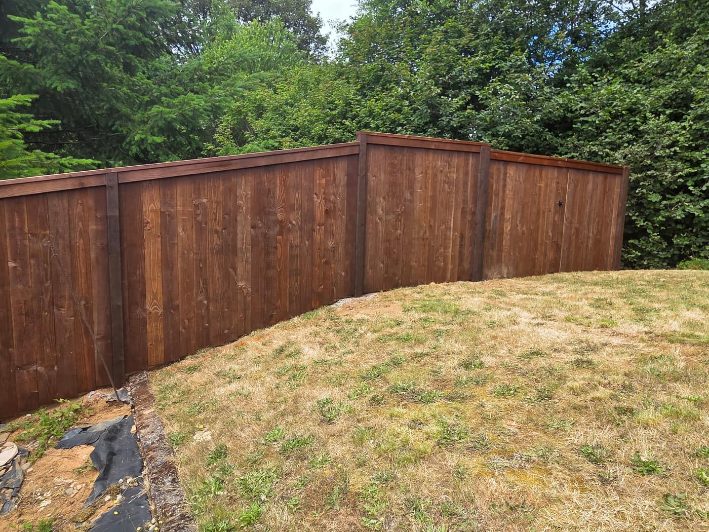 Freshly stained cedar privacy fence with a top rail cap, built by Gorilla Works in the Portland, OR area