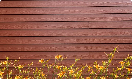 New Siding Installation