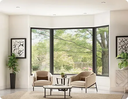 Bay & Bow Windows